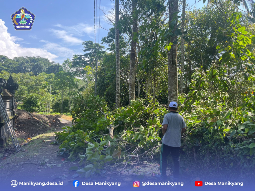 Gotong Royong Bersih-Bersih Area Kantor Perbekel Desa Manikyang Menyambut Hari Raya Galungan dan Kuningan